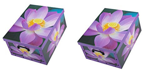 Ordnungsboxen Deko Karton 2er SET Box Clip Violette Blumen Aufbewahrungsbox für Haushalt Büro Wäsche Geschenkbox Dekokarton Sammelbox Mehrzweckbox Ordnungskarton Ordnungsbox Geschenkekarton