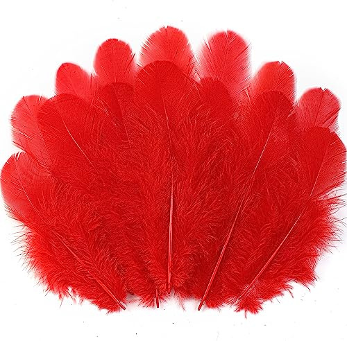 Soarer Rote Bastelfedern, 300 Stück, 7,6–12,7 cm, natürliche Federn für Hochzeit, Zuhause, Party, Traumfängerzubehör und Bastelarbeiten (rot)