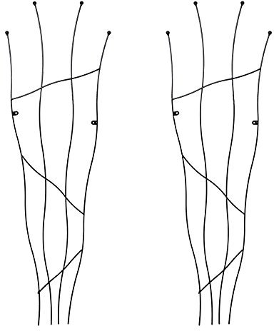Set of 2 Heavy Duty Crooked Garden Trellis - Metal Wall Climbing Plant Trellis