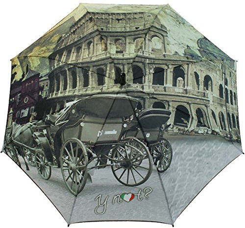 Y Not Long Stockschirm Automatik Bedruckt City Rome