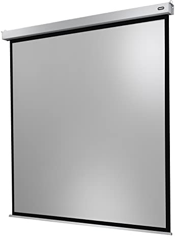 celexon Professional Plus Motor-Leinwand 165 | 300x300 cm 1:1 | elektrische 4K ,Full-HD Präsentations-Leinwand für Ihren Heimkinobeamer | zur Decken-/ Wand-Montage | mit Fernbedienung