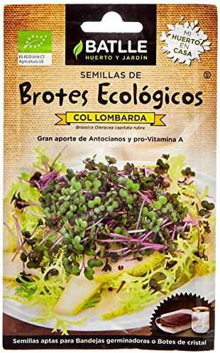 Semillas Batlle BROTES COL LOMBARDA - ECO