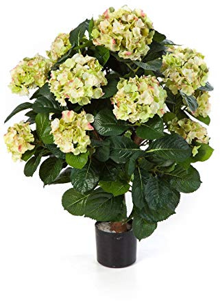 artplants.de Kunst Hortensie Haruka, 540 Blüten, Creme - grün, Deluxe, 60cm - Hortensie künstlich - Kunst Blume