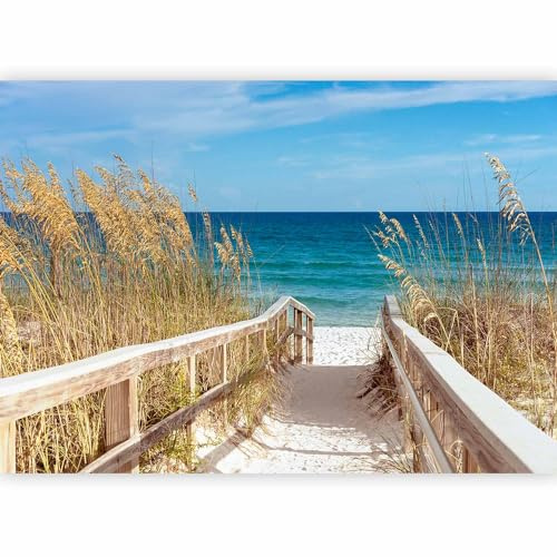 murando Fotomurales 400x280 cm XXL Papel pintado tejido no tejido | Decoración de Pared decorativos Murales moderna de Diseno Fotográfico paisaje naturaleza playa