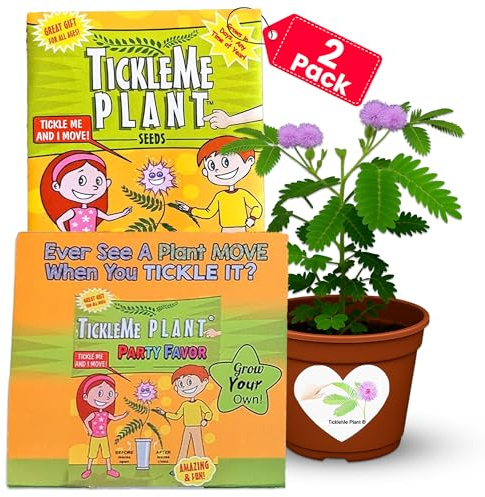 TickleMe Plant® Birthday Party Favors (2-Pack) – Touch It & Watch It Move! | Sensitive Plant Kids Grow Kit | Fun Interactive Indoor Gardening Gift for Kids, Classroom, STEM Activity