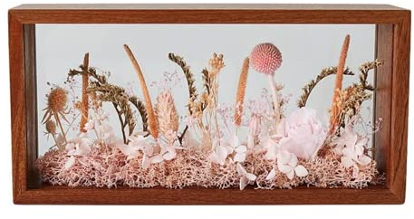 NatureMan Shadow Photo Frame,Wooden Double-Sided High-Definition Plexiglass Storage Box, DIY Display Box, Suitable for Dried Flowers, Specimens, Handicrafts (Walnut Brown)