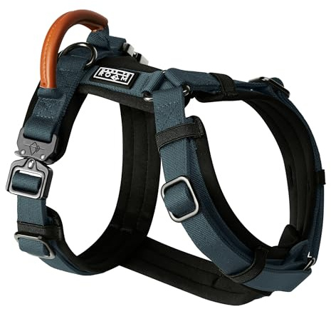 MADE TO ROAM Premium Explorer Harness - Y-Shaped Dog Harness with Adjustable Durable Nylon, Soft Padding, Metal Buckles and Leather Handle for Small, Medium, Large Dogs (Colorado Nightsky, Size 4)
