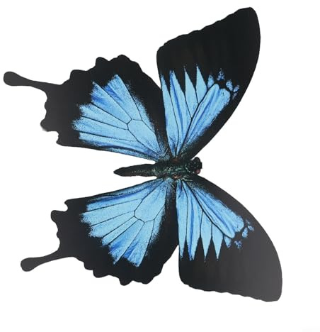 Adhesivo de mariposa 3D realista para decoración de interiores y exteriores, uso en paredes, puertas, muebles, valla de jardín y superficies interiores