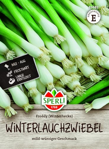 Sperli Parent Zwiebel 2026