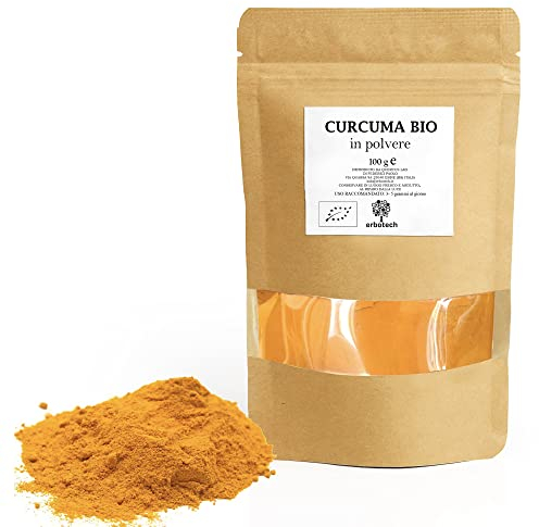 ERBOTECH Curcuma BIO in Polvere, Busta da 100 g, 100% Pura e Biologica, Senza Aggiunta di Sostanze Allergeniche, Senza OGM, Vegan & Senza Glutine
