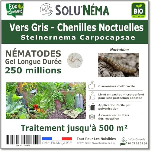 SOLUNEMA - Nématodes contre les vers gris - chenilles noctuelles - 250 Millions Longue Durée