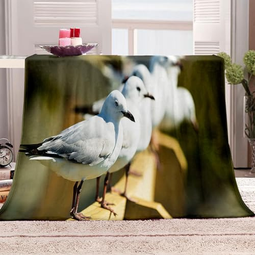 KQYLBM Frazada 130 X 150 Cm Manta Suave Gaviota Cobijas De Invierno Manta De Lana
