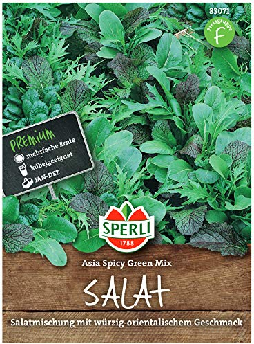 Sperli Premium Asia Salat | Asia Spicy Green Mix | 4 Sorten | Asia Salat Samen | winterhart ganzjährig