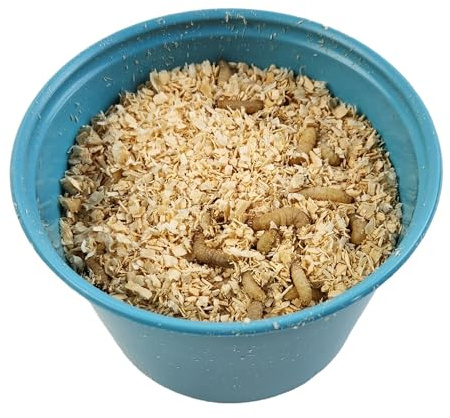 Josh's Frogs Waxworms (250 Count) for Reptiles & Amphibians