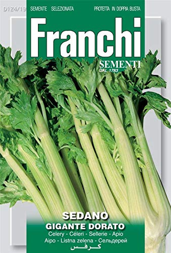 Portal Cool Franchi Semi d'Italia - Sedano - Un Gigante di barilotto Dorato Completa - Semi