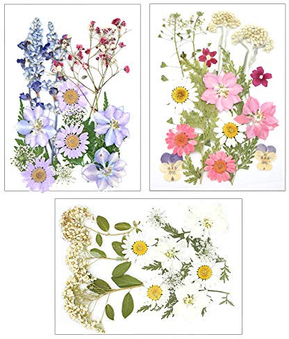 SacJkt Dried Pressed Flowers, Natural Dried Flower Set, 49 PCS Decorative Mixed Dried Flowers, for Girls Makeup Candle Resin Scrapbook Floral Decorations (Purple Pink White)