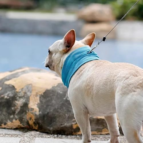 Dog Bandanas Cooling, Cooling Collar for Dogs, Breathable Heat Dissipation Bandana Dog, Cooling Collar Dog, Suitable for Cooling Dogs in Summer (Blue-M)