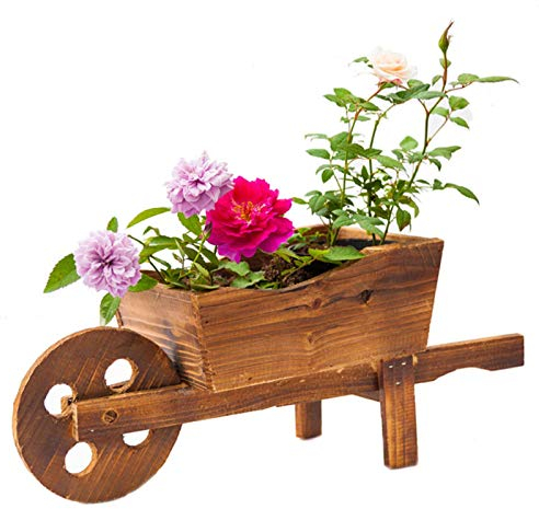 MISETA Blumentöpfe aus Holz, multifunktional, für kleine Sukkulenten, Luftpflanzen, Mini-Kakteen, künstliche Pflanzen oder Blumen