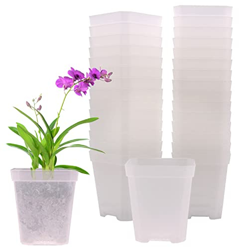 GGOUPTY fyrkantiga plastkrukor klar 30 stycken 7 cm genomskinliga plastfyrkantiga krukor planteringskruka blomkrukor trädskola krukor för blommor grönsaker suckulent