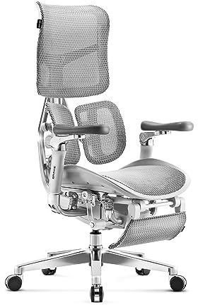 Diablo Brave V-Kinetic Bürostuhl Ergonomisch Schreibtischstuhl Chefsessel mit Fußstütze 5D Armlehnen Netzstoff Lendenwirbelstütze Verstellbarer Sitz Belastbar bis 120 kg (Grau)