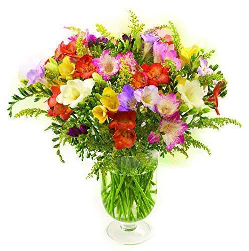 Sendabunch Fresh Mixed Freesia Bouquet with 30 Sweetly Scented Stems - Hand-Picked Channel Island Flowers With 8-Day Freshness Guarantee - Perfect for Birthdays, Anniversaries & Special Occasions