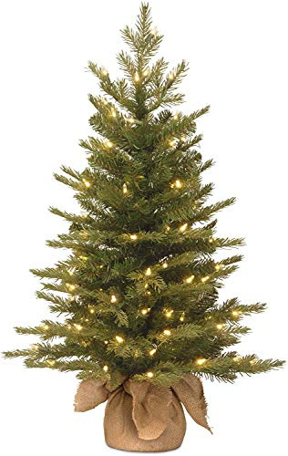 National Tree Company 3ft Pre-Lit Nordic Spruce Mini Christmas Tree