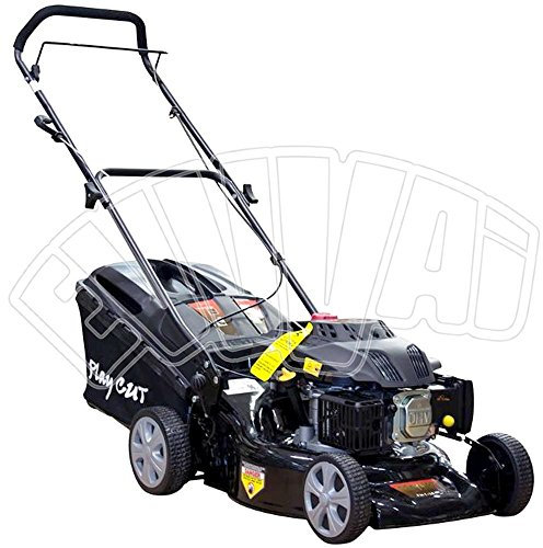 RASAERBA A SPINTA TAGLIAERBA A SCOPPIO TAGLIA ERBA TOSAERBA GIARDINO LS461 AMA