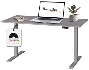Hausfux Höhenverstellbarer Schreibtisch auf Maß - inkl. 2,5 cm starker, maßgefertigter Tischplatte - 2- oder 3-stufiges Gestell, OLED-Touchpanel (Platin Grau & Grau, 2-stufig, 160 x 80 cm)