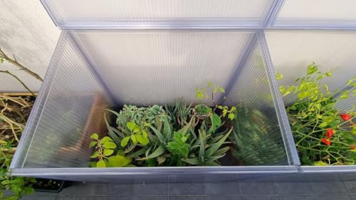 Il Giardino delle Idee Serra in Policarbonato spesso 16 mm Aleana 5. Serretta smontabile per giardino, orto o balcone Coperchio reclinabile e filtro UV. Misure 98,8*65*h 55/45cm.