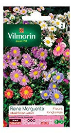 Vilmorin Sachet graines Reine Marguerite Madeleine variée