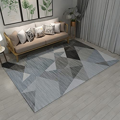 DJHWWD Teppich Für Wohnzimmer grau bodenmatte Zimmer Teppichen Modernes Minimalistisches Helles Luxusschlafzimmer 300x400cm Mädchen Outdoor bunt