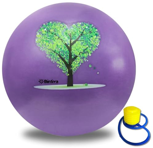 Pregnancy Ball, Yoga Ball Chair & Birthing Ball, Maximum Stability - Exercise Ball Chair, Swiss Stability Ball Sitting Ball for Desk, Office, Home