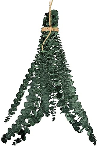 Dusch-Eukalyptus zum Aufhängen, Eukalyptus zum Duschen, 10 Stück Natürliches Getrocknetes Eukalyptus-Bündel, Hängendes Natürliches Lebendes und Aromatisches Selbstpflege-Eukalyptus-Blätter-Bündel