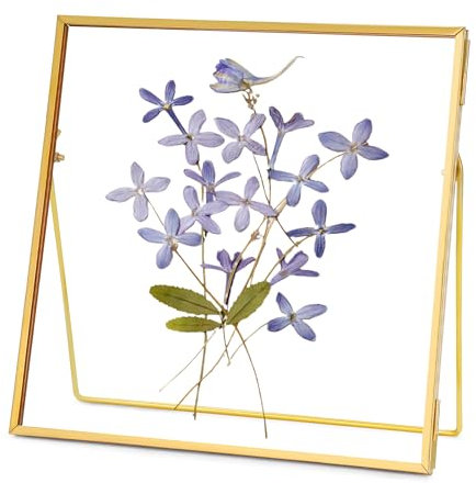 REDHUGO Double Glass Frame for Pressed Flowers Handmade, Tabletop Photo Frame for Floating Picture and Flower Press, Simple, Metal Geometric, Square, Gold, 6x6 Inches