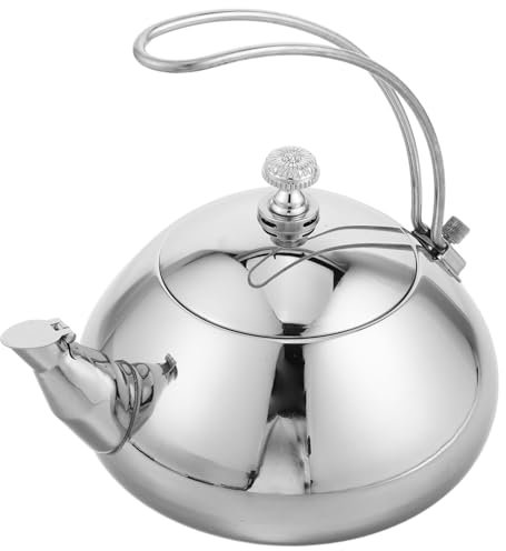 VERDANVERSE Bouilloire à Thé Acier Compatible Induction Avec Filtre Théière Ergonomique Pour Maison Bureau