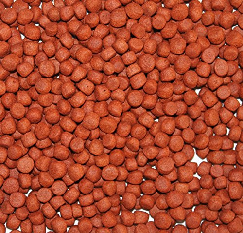 Wohnkult TOP Premium Koifutter Colour Color in 3 mm und 6 mm 5 Liter und 10 Liter Teich Koi Goldfisch Stör (6 mm / 10 Liter)