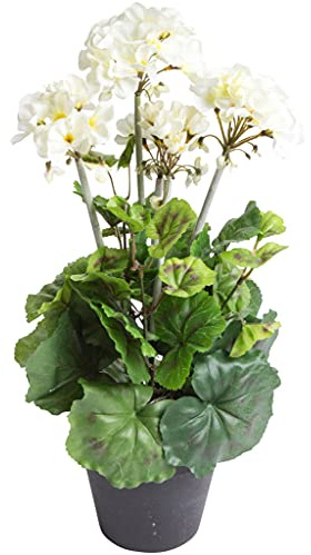 Botanic-Haus künstliche, hohe Geranie (Geranienbusch) mit 5 Blütenköpfen im schwarzen Kunststofftopf (Creme-weiß)