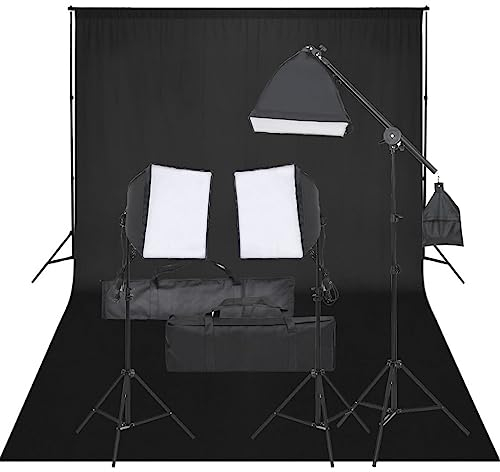 vidaXL Fotostudio-Set mit Beleuchtung und Hintergrund, Studio-Kit, Tageslicht-Lampe, Studio-Beleuchtung-Set, Studio-Licht, Fotografie-Licht