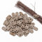 SMKGNOME Lot de 50 Fixation Brise Vue - Serre-câbles pour Filet d'ombrage, Pare-Vue, Filet de Protection de clôture (Brown)
