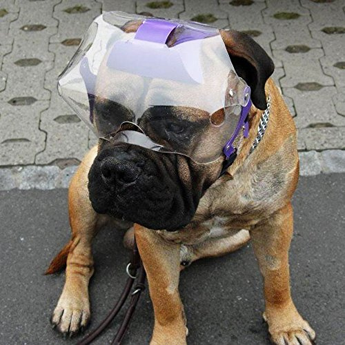 Optivizor Augen- und Gesichtsschutz für Hunde mit kurzer Schnauze, Größe XL 100+ kg, Kopfumfang 24 cm
