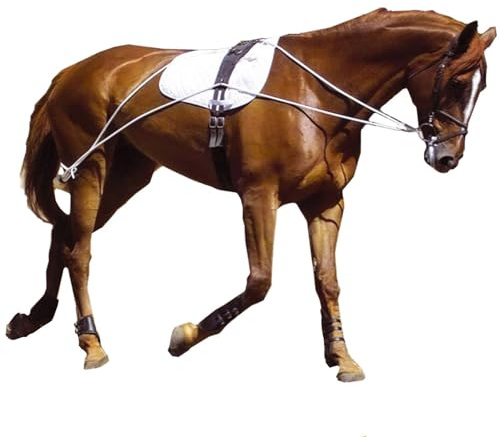 Hunters Saddlery Ultimate Horse Longierhilfe System Longierhilfe - Pony, Cob/Pferd, Zuggröße, weiß, 03. Cob/Horse