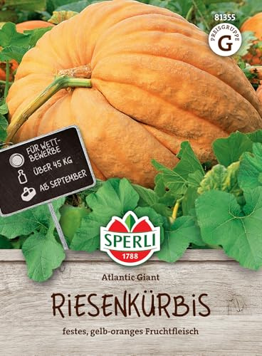 Sperli Riesenkürbissamen Atlantic Giant 81355, Saatgut | Gewicht 45-180 kg