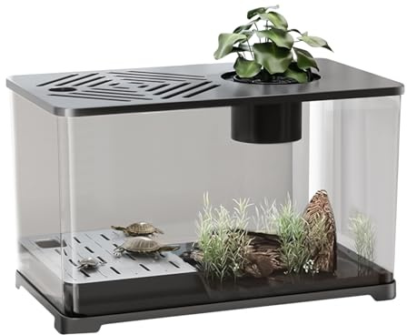 Aquarium Starter Set, Kleines Aquarium-Starter-Set, Betta-, Goldfische, Schreibtischdekoration, Panorama-HD-Behälter, Moderne Wohndekoration Für Wohnung, Tischdekoration