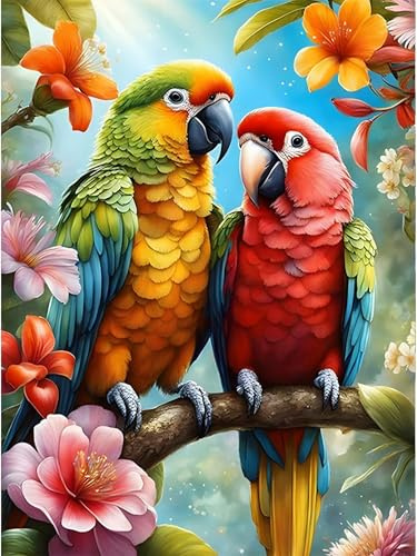 ParNarZar 5D Diamond Painting Papageien 30x40cm, Diamant Painting Bilder mit eckigen Steinen, Diamond Painting Set für Erwachsene