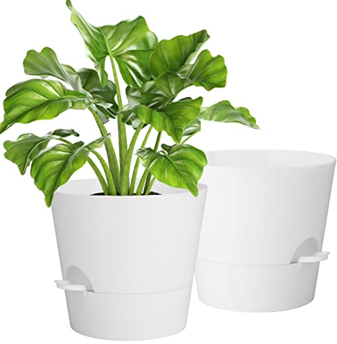 Blumentopf,25.4 cm Pflanzentopf 2er-Pack,Kunststoff Blumentopf mit Bewässerungssystem,Moderne für Innen und Balkon Garten Pflanzen Sukkulenten Kaktus(Weiß)