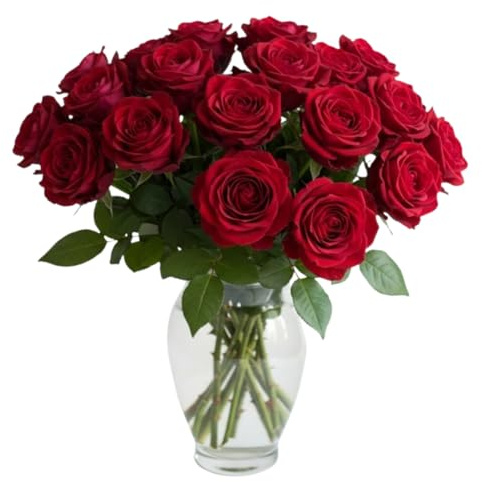 Real Fresh Red Stem Roses – Hand-Cut Long Stem Fresh Flowers for Bouquets – Beautiful Bright Roses for Vases, Weddings, Anniversaries, Birthdays, All Occasions (10, 50cm Stems)