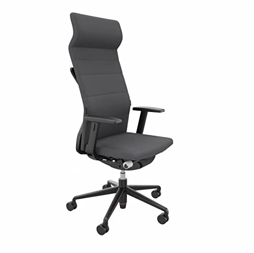 Sedus Crossline, cn-103, ergonomischer Ledersessel, feinster Lederbezug, viele Ergonomie Funktionen, 5 Jahre Garantie, Made in Germany, höchster Sitzkomfort (Leder: Schwarz)
