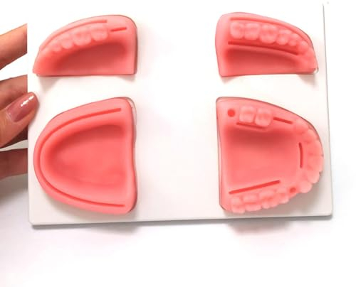 MTTXY Dentales Naht-Übungsmodell, Orales Naht-Trainingsset, Medizinisches Nähset, Silikon-Oralmodell für Medizin- und Zahnmedizinstudenten