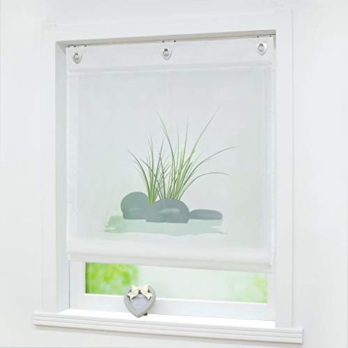 Joyswahl Raffrollo Voile Raffgardinen mit Haken Ösenrollo Zoe 60x140 Grün | Ohne Bohren, Ösenraffrollo, mit Druck, 1er Pack, Rollo mit Ösen, Fenster Gardine, Hakenaufhängung, 1 Stück, Transparent