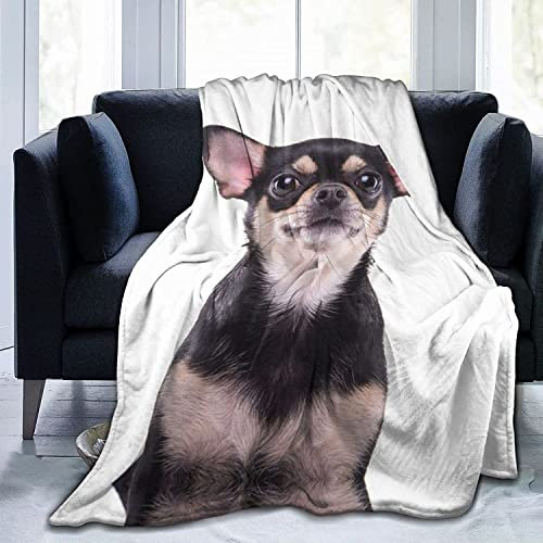 Boceoey Kuscheldecke Flauschig Decke Sofa Flanell Fleecedecke, Weich Warme Decken als Sofadecke Wohndecke Couchdecke Tagesdecke, Leichte Decke 150x200 cm Chihuahua